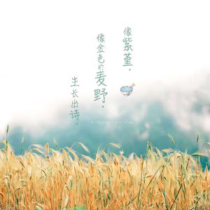 啊灬啊别停灬用力小建
